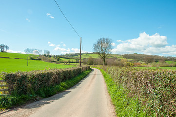 Fototapeta na wymiar Springtime country road in England