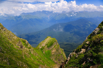Beautiful mountain landscape in summer. Mountains with flowering Alpine plants.
