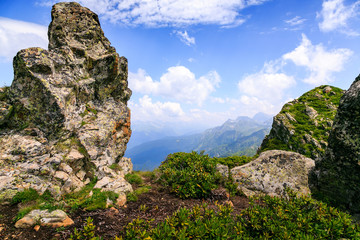 Beautiful mountain landscape in summer. Mountains with flowering Alpine plants.