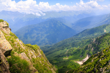 Fototapeta na wymiar Beautiful mountain landscape in summer. Mountains with flowering Alpine plants.