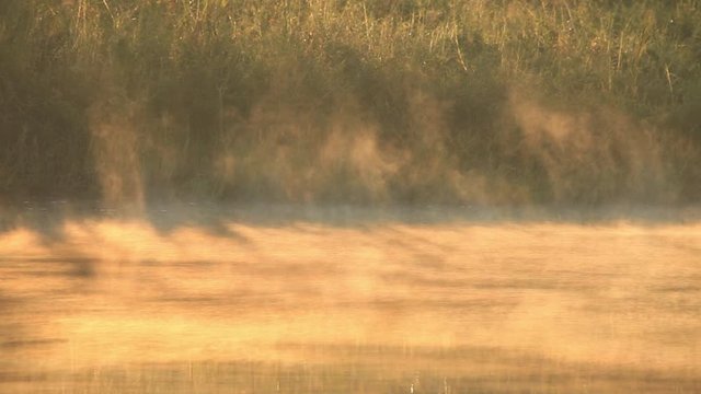 Fog hanging over water surface of the lake with sunlight shines through the forest background