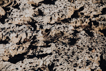 Tradition des touristes - Jeter des pièces et faire un voeux