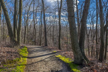 Winter Hiking Trail