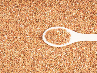 Buckwheat groats in wooden spoon on a buckwheat background with copy space. Healthy eating concept