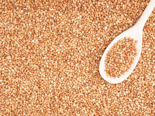 Buckwheat groats in wooden spoon on a buckwheat background with copy space. Healthy eating concept