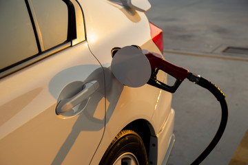 Car refueling on the petrol station.