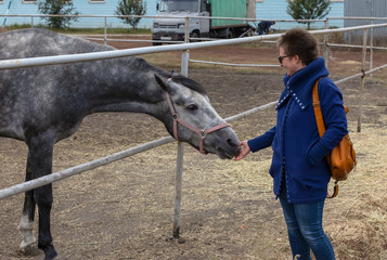 A woman in a blue coat stroking a horse in the paddock. Communicating with animals means getting...
