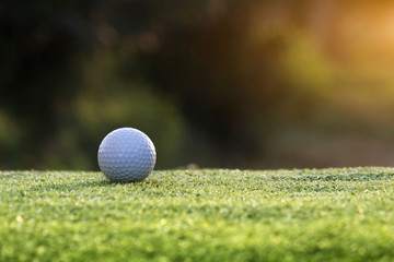 golf ball is on a green lawn in a beautiful golf course