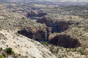 montagnes et désert américain
