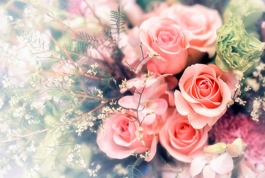Closeup image of beautiful flowers wall background with amazing red and white roses Retro filter.