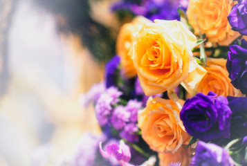 Closeup image of beautiful flowers wall background with amazing red and white roses Retro filter.