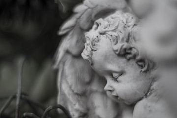 Fototapeta na wymiar The statue of the angel sleeping in black and white