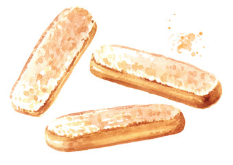 Savoiardi biscuits or ladyfingers cookies set. Watercolor hand drawn illustration isolated on white background