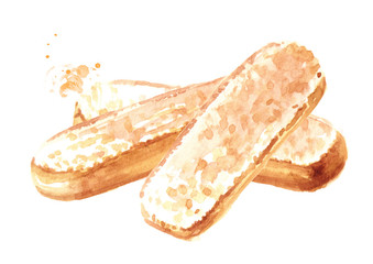 Savoiardi biscuits or ladyfingers cookies. Watercolor hand drawn illustration isolated on white background