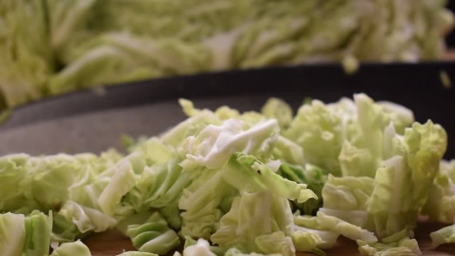 Cavolo verza ft0201_0470 Savoy cabbage