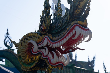 dragon on a white background