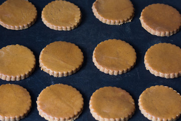 Round formed raw gingerbread dough on the teflon baking sheet before to make cookies before baking