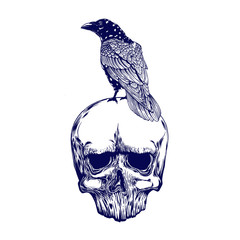 Crow on skull isolated on white. Hand drawn vector art. Sketch vector illustration. Vector vintage illustration. tattoo design.