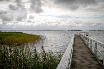 Jetty with white railing clouds and reeds