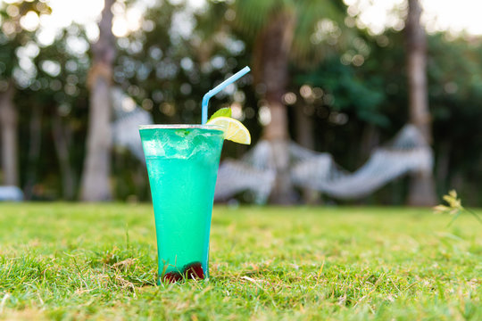 Fresh cocktail with straw on the grass