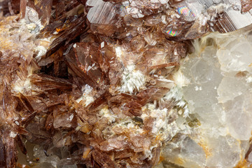Macro minerals Axinite stone on a gray background