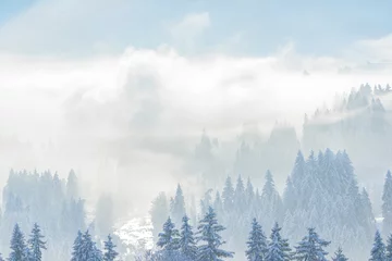 Crédence de cuisine en verre imprimé Forêt dans le brouillard Mystische Stimmung an einem Wintermorgen am bayrischen Alpenrand bei Trauchgau