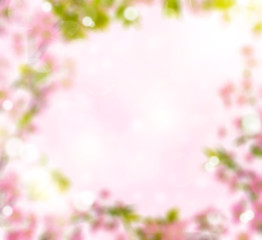 Fototapeta na wymiar pink blured background from cherry-tree branches