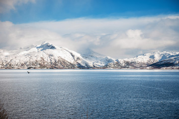 Fototapeta na wymiar Lofoten islands, Norway.