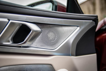 2020 BMW 8 Series Gran Coupe speaker