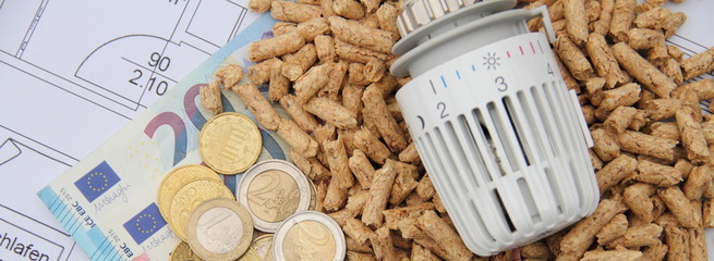 a heating thermostat with wood pellets and money on a blueprint