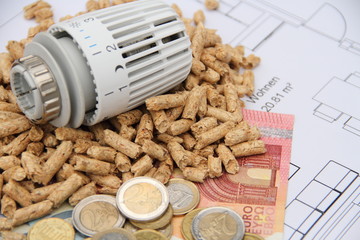a heating thermostat with wood pellets and money on a blueprint