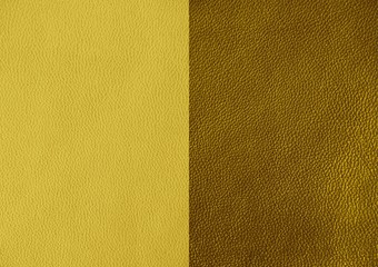 Leather. Green. Gradient. The structure of the skin material close-up.