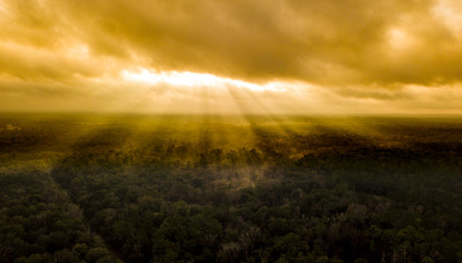 Naklejka na ściany i meble Sun rays shining dramatically through the clouds onto forest canopy.