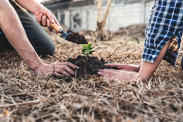 Environment earth day, Hands of two man helping were planting the seedlings and growing of young sprout trees growing, protection for care new generation to be planted into the soil in the garden