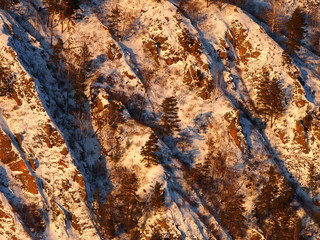 Winter forest in the snow on a mountain, lit by the sun in Siberia.