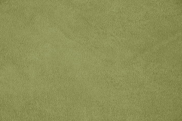 Suede. The texture of the skin is natural. Background of green