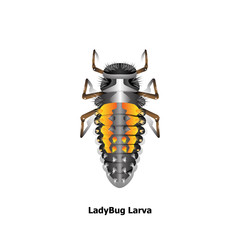 Ladybug larva object vector on white background.