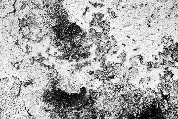 Texture of a concrete wall with cracks and scratches which can be used as a background