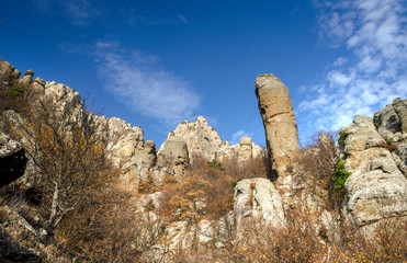 Fototapeta na wymiar rocks in the form of columns on the mountain Demerdji, Crimea