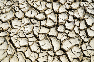 dry cracked earth