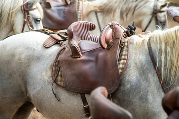 Selle sur le dos d'un cheval blanc