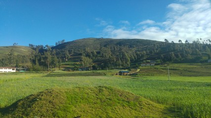 Fototapeta na wymiar Paisaje_Cajamarca19
