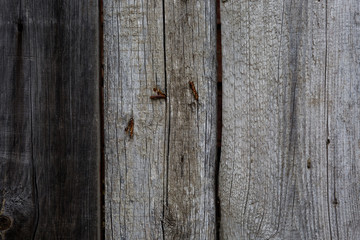 The old wood texture of gray color. Texture, background