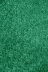 Fototapeta premium Leather. Green. Gradient. The structure of the skin material close-up.