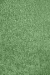 Leather. Green. Gradient. The structure of the skin material close-up.