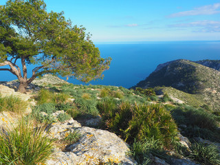 Fototapeta na wymiar Mallorca - auf dem Gipfel Talaia de la Victoria