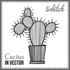 DRAWN SKETCH OF CACTUS IN THE VECTOR