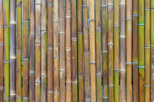 decorative wall panel, colorful bamboo stems in vertical pattern
