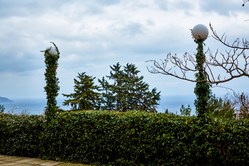 Regular Park on the beach, in the Crimea