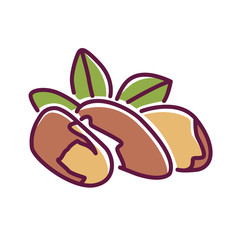 Brasil nut color line icon. Nuts in the shell and with leaves. Pictogram for web page, mobile app, promo. UI UX GUI design element. Editable stroke.